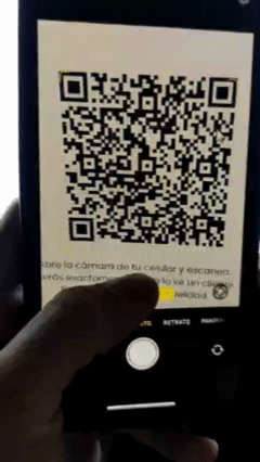 Demostración de Loyabit